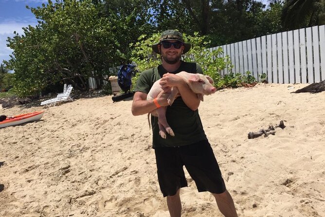 Private Swim With Pigs and Snorkeling in Paradise Tour - Looking for green sea turtles