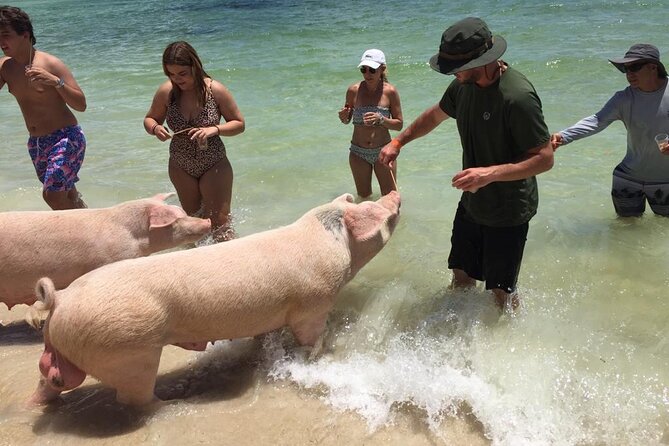 Private Swim With Pigs and Snorkeling in Paradise Tour - A quiet beach break between water activities