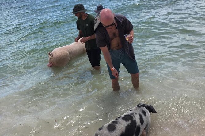Private Swim With Pigs and Snorkeling in Paradise Tour - How the private format changes the day