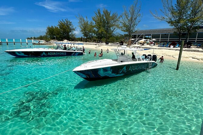 Private Tour 45ft Powerboat to Nearby Islands - Pig Island adds a playful final stop