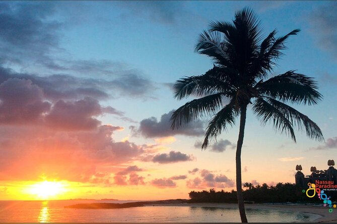 Private Transfer in Nassau (Baha Mar and Surrounding Hotel) - The early 4:30 am pickup