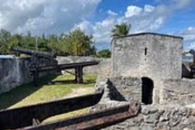 Private Transport to Airport, Hotel, Port in Nassau Bahamas - Price, group size, and real value