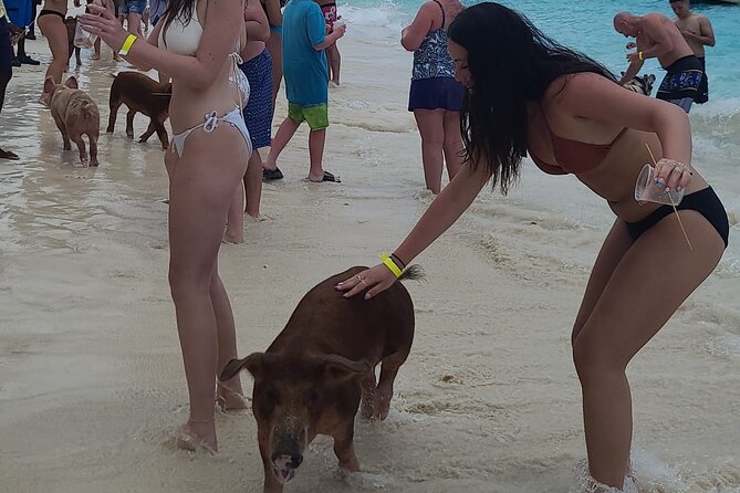 Rose Island 3 Island Luxury Private Tour(8hrs) - Rose Island: Four Hours for Beach Time and Pigs