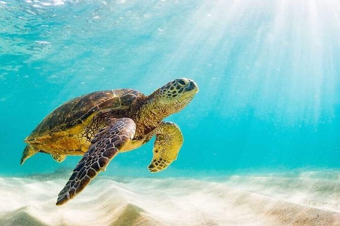 Rose Island 3 Island Luxury Private Tour(8hrs) - Who Will Enjoy This Tour Most