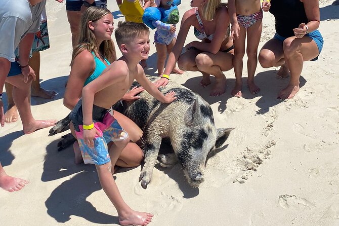 Rose Island 3 Island Luxury Private Tour(8hrs) - Green Turtle Cay: A Short Ride to Turtle Watching