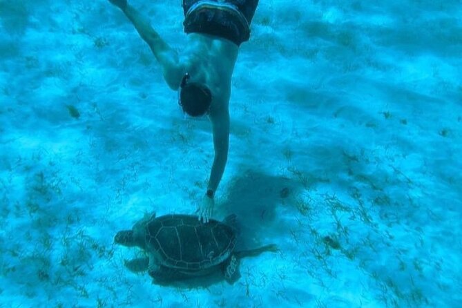 Rose Island Adventure: Snorkel, Sea Turtles, and Private Beach - Rose Island and 007 Beach Club