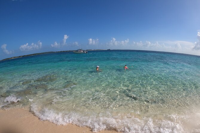 Rose Island Adventure: Turtle Swim and Snorkel - Drinks, snacks, and what to bring