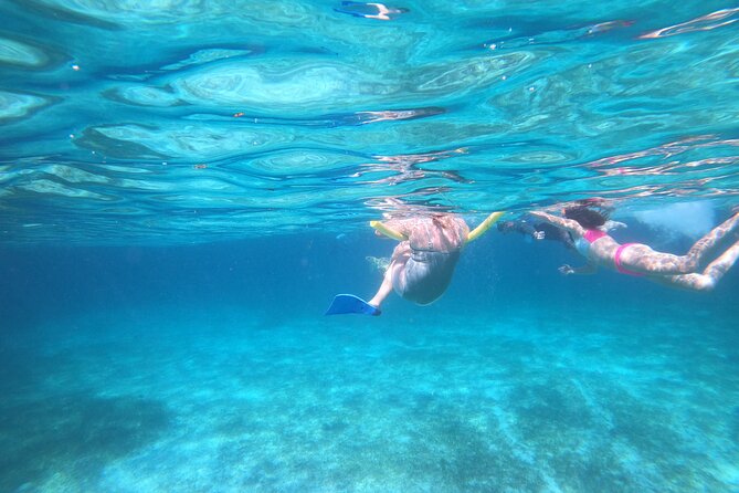 Rose Island Adventure: Turtle Swim and Snorkel - Why the 20-person limit matters
