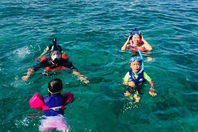 Rose Island Half-Day Snorkeling Cruise - Timing for cruise passengers and short stays