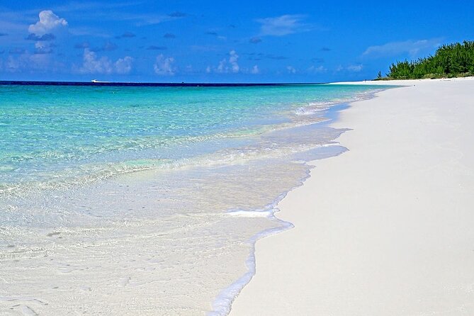 Rose Island Half-Day Snorkeling Cruise - Who will enjoy this most