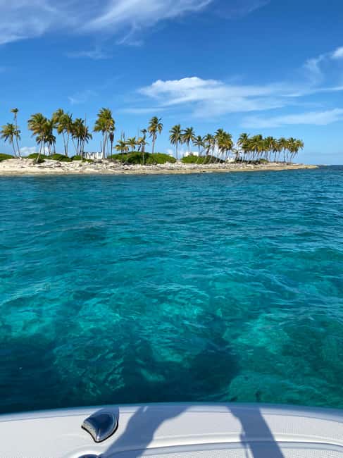 Rose Island: Pig Beach, Snorkeling, Sea Turtles, Beach - Snorkeling over a Bahamian coral reef