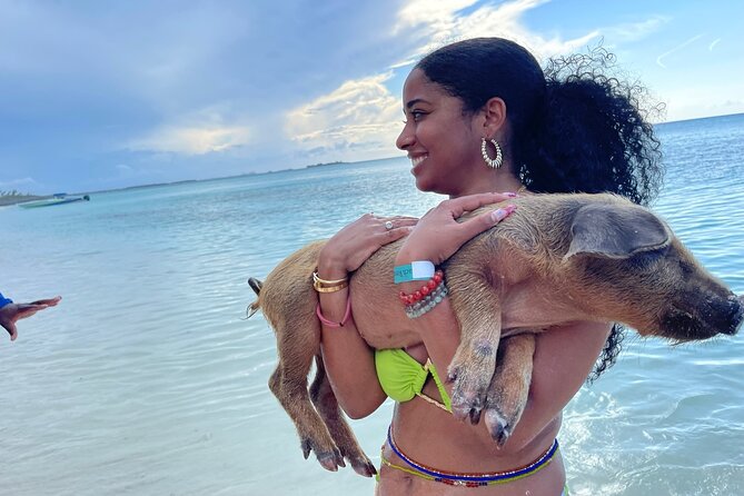 Rose Island Private Beach: Swimming with the Pigs - Key things to know before booking