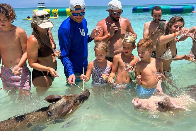 Rose Island Private Beach: Swimming with the Pigs - From Nassau marina to Rose Island Reef