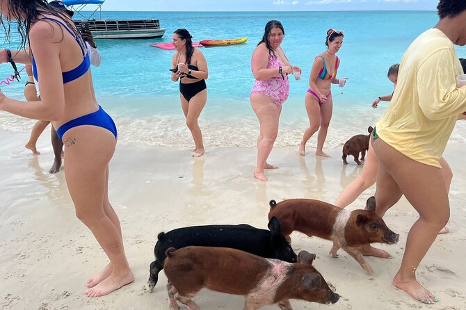 Rose Island Private Beach: Swimming with the Pigs - Who will enjoy this Rose Island outing?