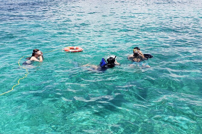 Rose Island: Private Snorkeling, Fishing, and Swimming with Pigs - Who will get the best value