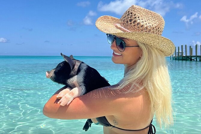 Rose Island Swimming Pigs & Beach Snorkeling Experience Nassau - Key points at a glance