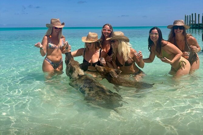 Rose Island Swimming Pigs & Beach Snorkeling Experience Nassau - From Nassau harbor to Rose Island