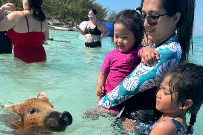 Rose Island Swimming Pigs & Beach Snorkeling Experience Nassau - Kayaks, waiting time, and the pace of the visit