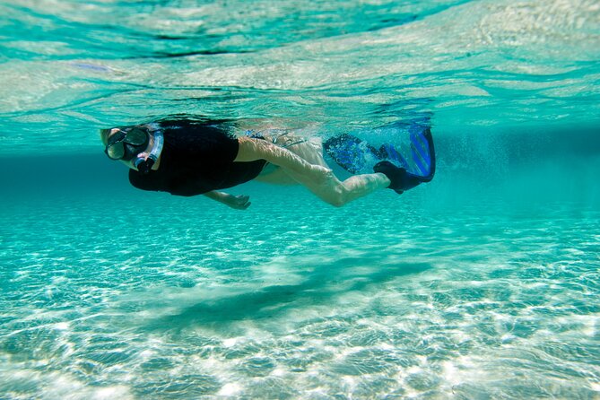Rose Island Swimming Pigs & Beach Snorkeling Experience Nassau - What the $79 price really covers