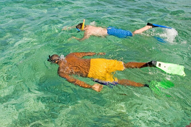 Rose Island Swimming Pigs & Beach Snorkeling Experience Nassau - Who will get the most from this Rose Island trip