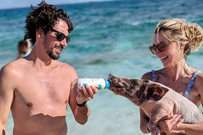 Rose Island Swimming Pigs & Beach Snorkeling Experience Nassau - Group size, timing, and practical planning