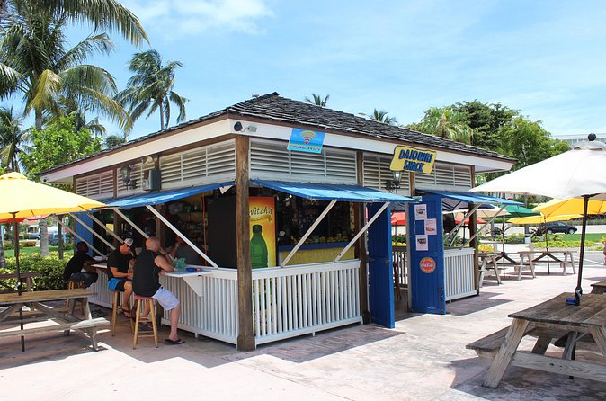 Rum Reggae and Rhythms Private Tour (minimum of 6 people) - Guides, music, and the party-bus factor