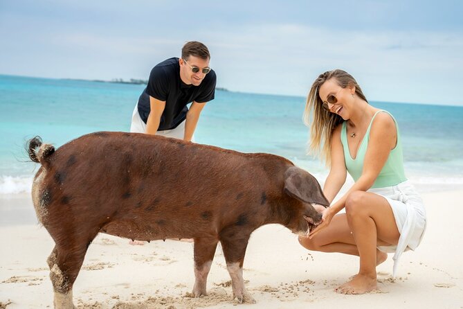 Sandy Toes The Original Rose Island and Swimming Pigs Tour - A Bahamian lunch with lemonade and rum drinks
