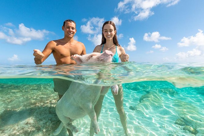 Sandy Toes The Original Rose Island and Swimming Pigs Tour - Is $258 a good value?