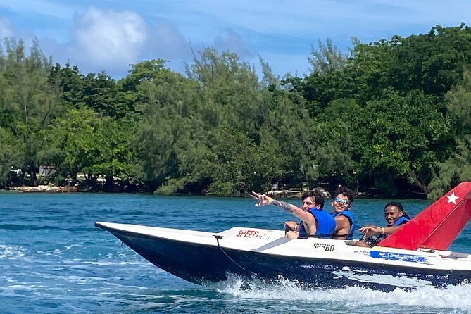 Self Drive Speedboat and Swim with the Pigs - Meeting the pigs on the private island