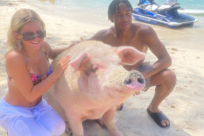 Self Drive Speedboat and Swim with the Pigs - Weather, cancellation, and practical planning