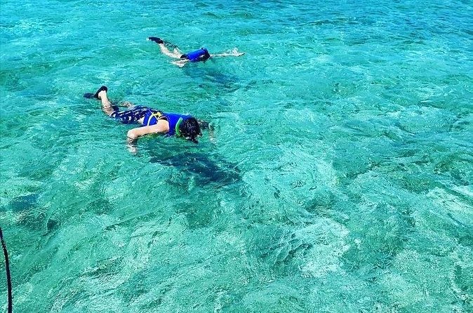 Small-Group Snorkeling Experience at Sea Garden - A quick boat ride from Nassau Harbor to Sea Garden