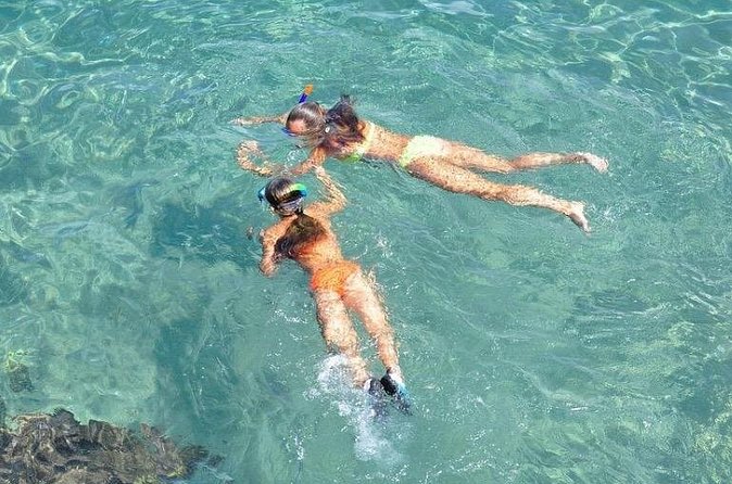 Small-Group Snorkeling Experience at Sea Garden - Is the $128.21 price a fair value?