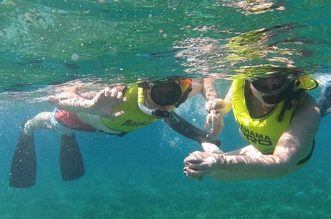Small-Group Snorkeling Experience at Sea Garden - Who will enjoy this Sea Garden trip most?