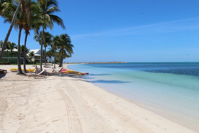 Snorkel/Swim with the Turtles Experience - Who should book this Freeport outing?