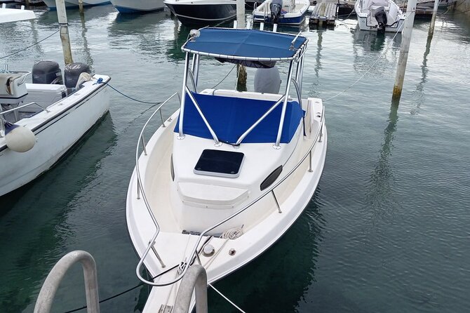 Snorkeling, Swim with Turtles & Beach Day - A private boat day from Nassau