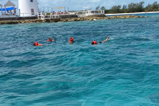 Snorkeling, Swim with Turtles & Beach Day - Rose Island and the optional swimming pigs