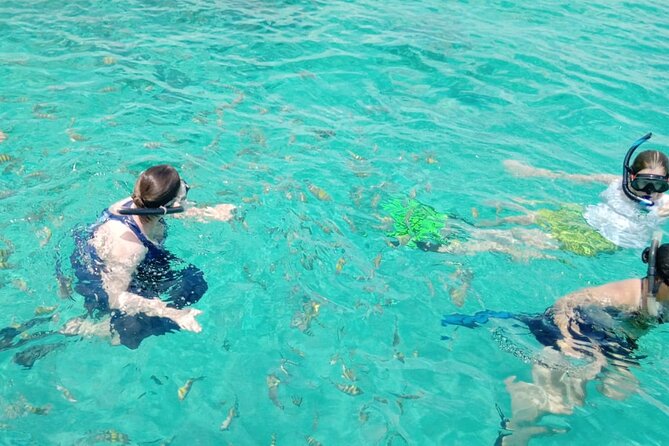 Snorkeling, Swim with Turtles & Beach Day - What the $700 group price really means