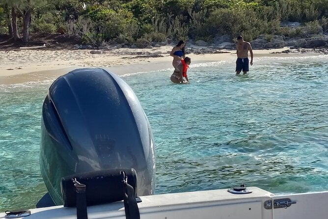 Snorkeling, Swim with Turtles & Beach Day - Timing, weather, and practical planning