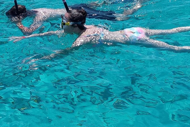 Snorkeling, Swim with Turtles & Beach Day - Meeting Captain Ted at the Nassau waterfront