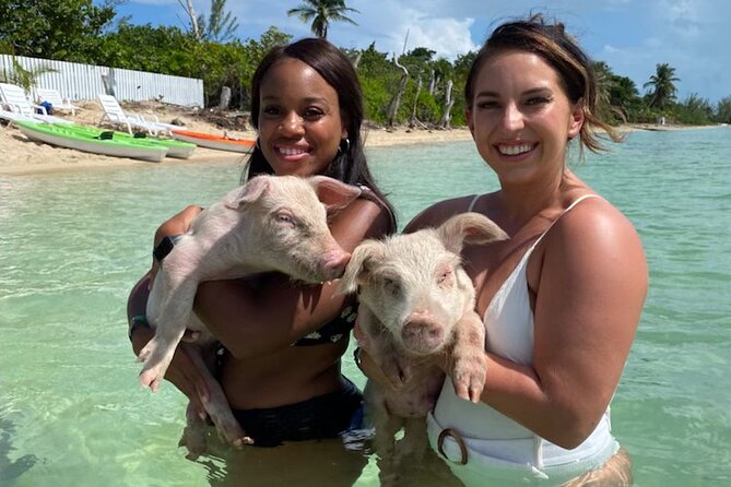Swim with the Pigs and Explore Caves in Nassau - What this Nassau day combines