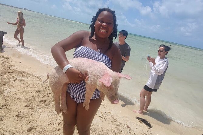 Swim with the Pigs and Explore Caves in Nassau - The pig encounter at Atholl Island