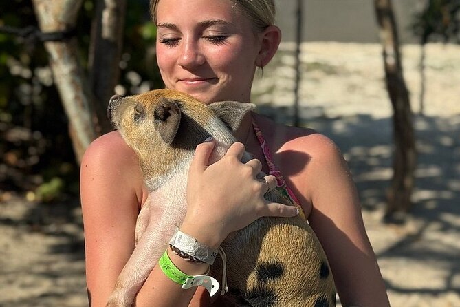 Swim with the Pigs Freeport @Creative Eco Adventures - Why the $71.50 Price Can Make Sense