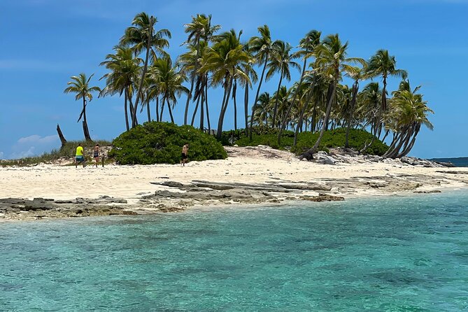 Swim with the Pigs Safari in Bahamas (2hrs) - A fast boat tour with three very different stops