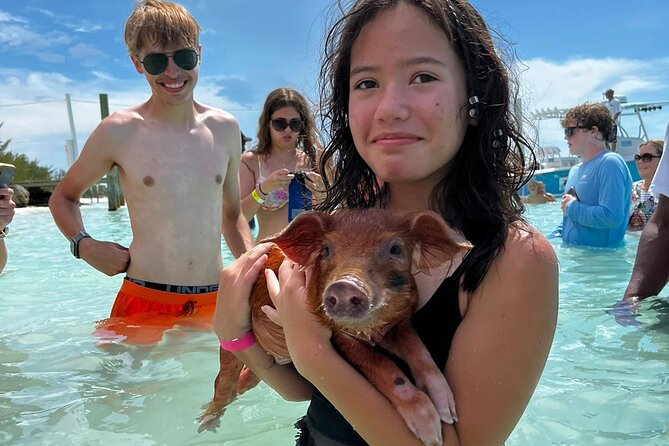 Swim with the Pigs Safari in Bahamas (2hrs) - Snorkeling near Pearl Island