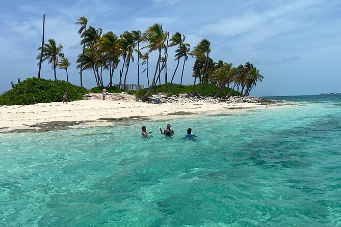 Swim with the Pigs Safari in Bahamas (2hrs) - Why the two-hour schedule works for cruise passengers