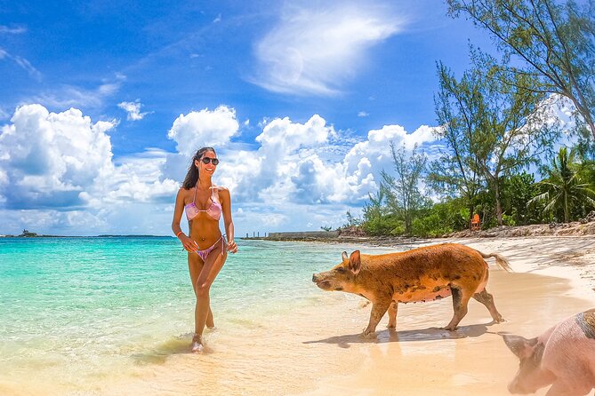 Swimming Pigs and Pearl Island Beach Escape - Lunch and drinks: budget for the extras
