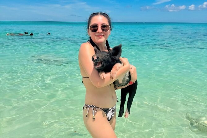 Swimming Pigs and Private Beach Club Escape - Meeting the pigs in the shallow water