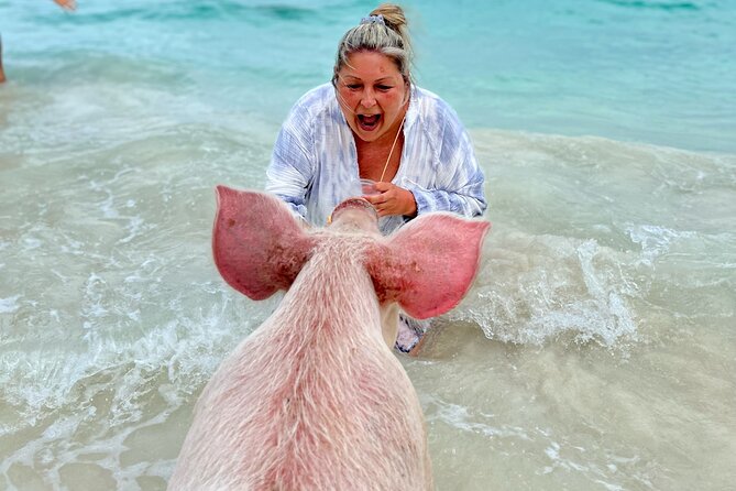 Swimming Pigs and Private Beach Club Escape - Who should book this Rose Island outing?
