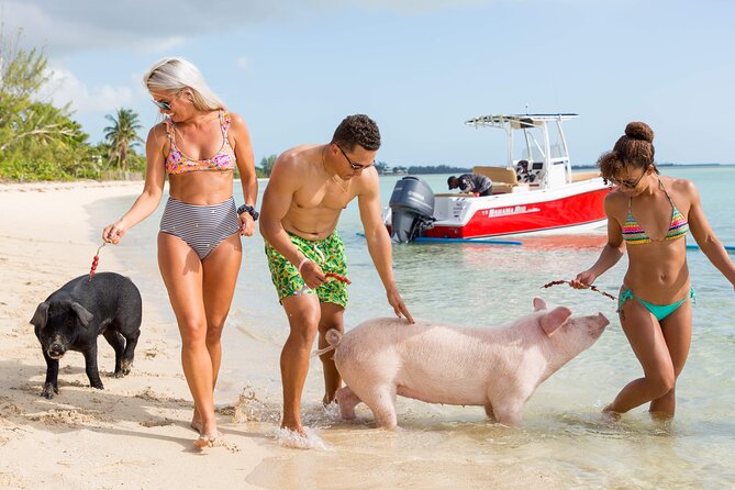 Swimming Pigs & ATV Tour - A private way to see the western side of Nassau