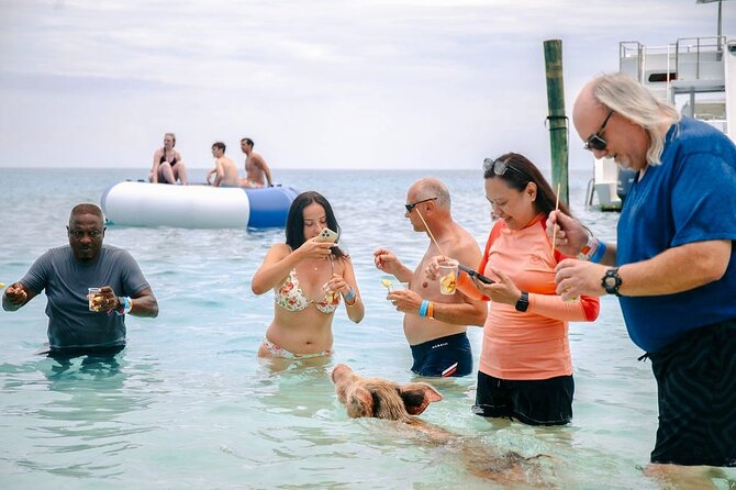 Swimming Pigs Of Rose Island & Beach Day - Group Tour - Practical preparation before you go